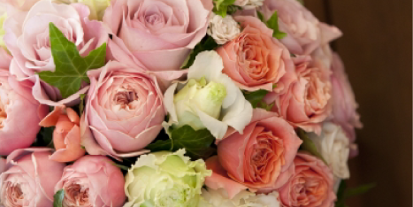 ブライダルプランイメージ